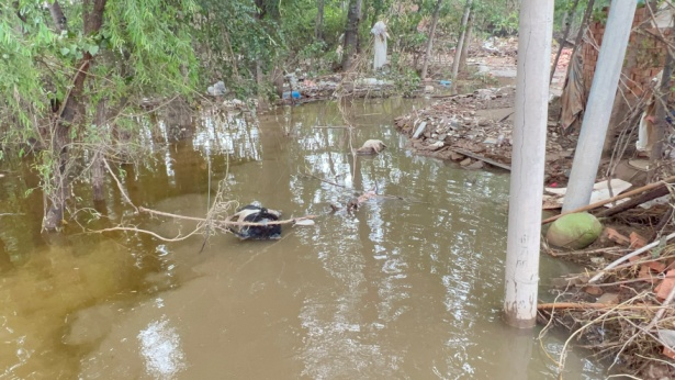 1691597131154418.png image.png